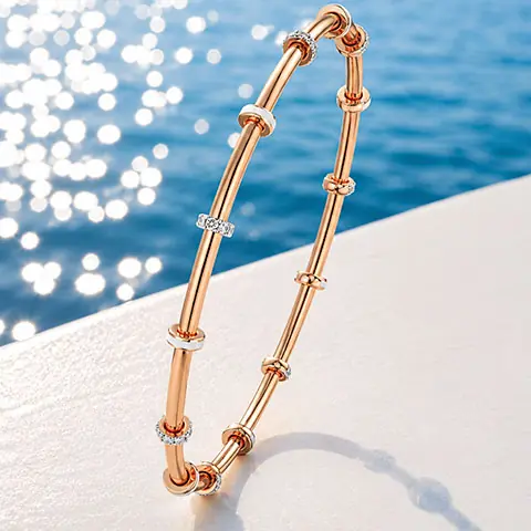 Bangle category