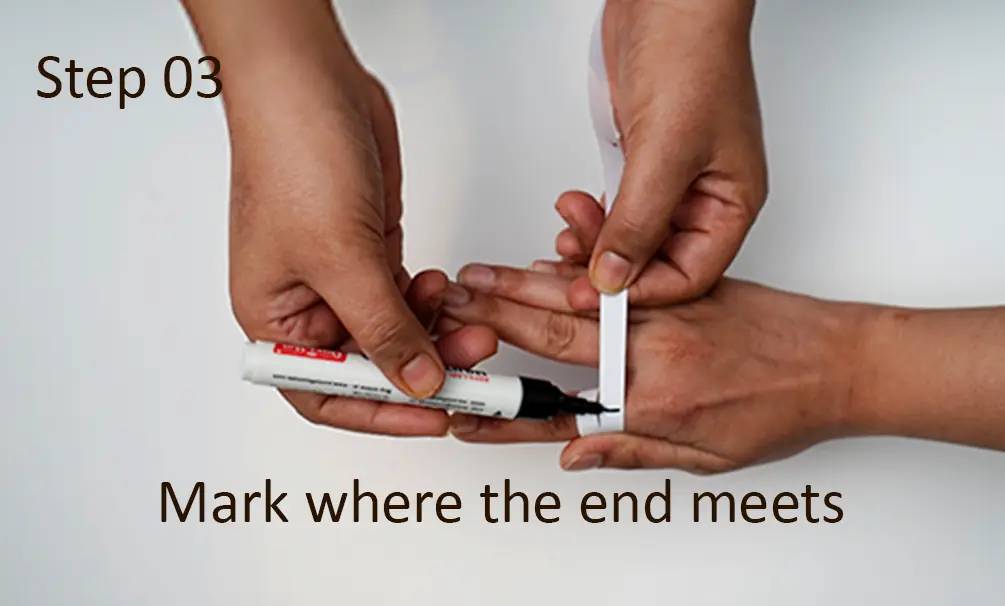 Step 4: Measure length